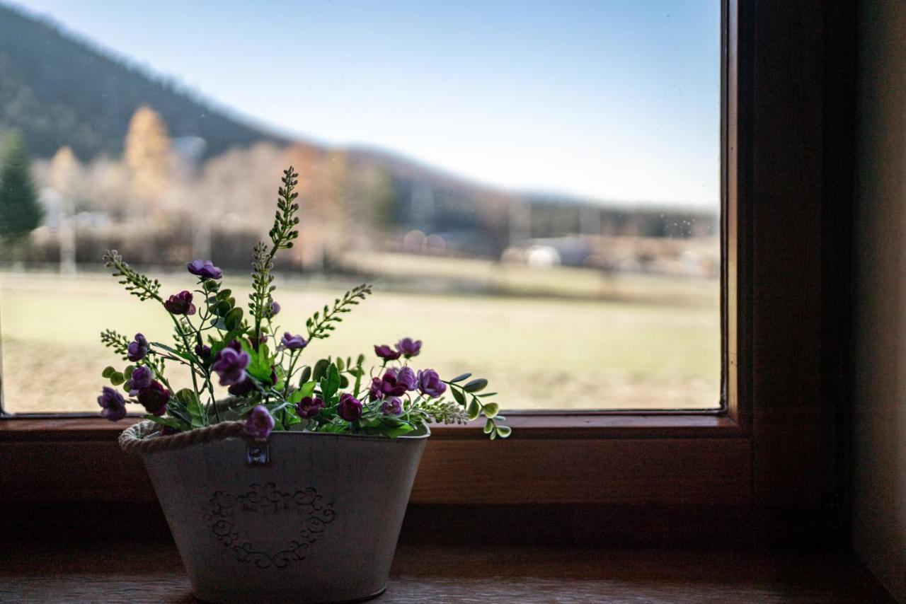 Apartamenty Bogowka 11 Zakopane Buitenkant foto